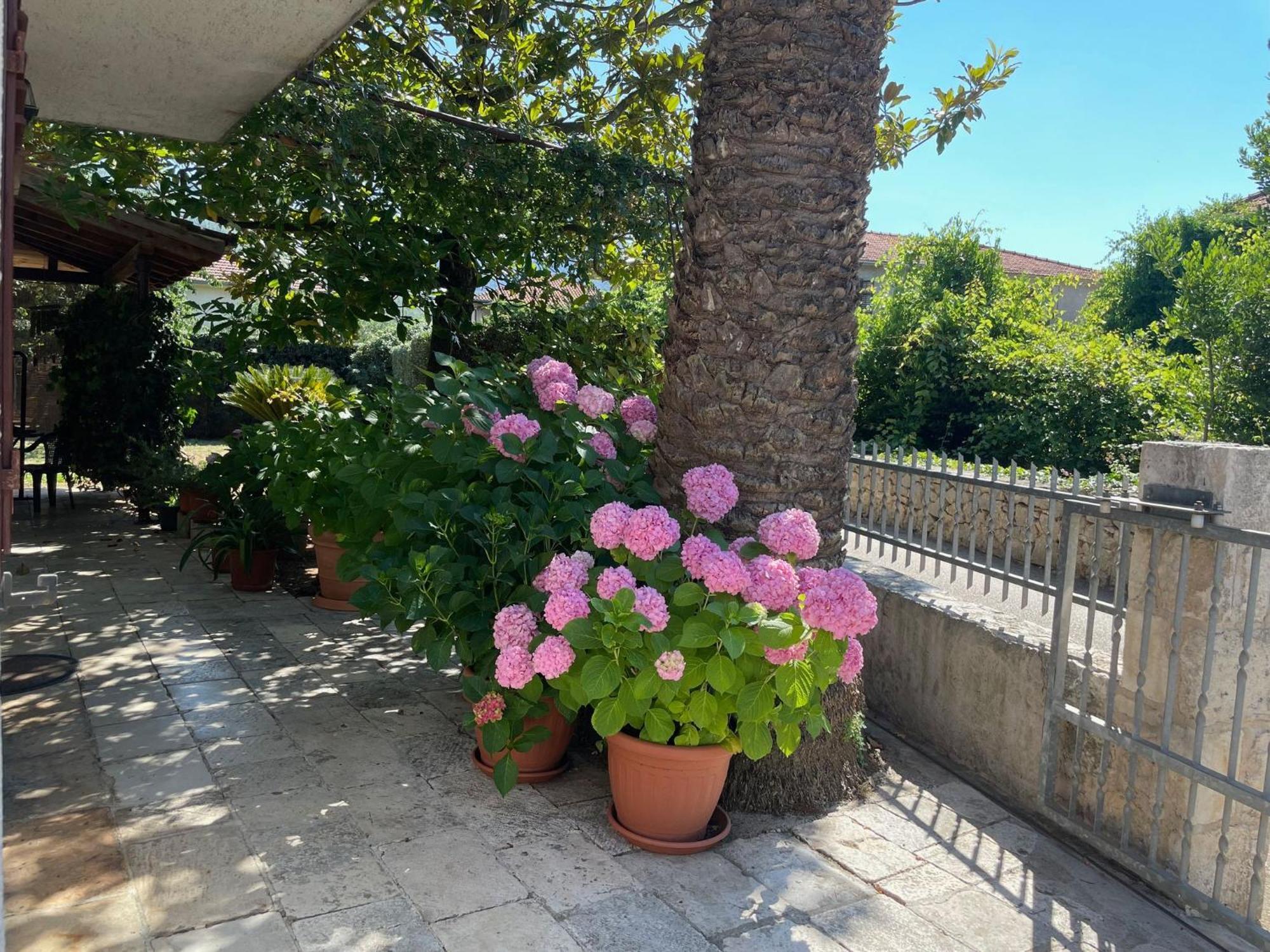 Hvar Guesthouse - Double Bedroom With Private Bathroom Йелса Екстериор снимка